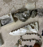 Lot of Smalls, Mineral Rocks etc - thumbnail 2 of 4