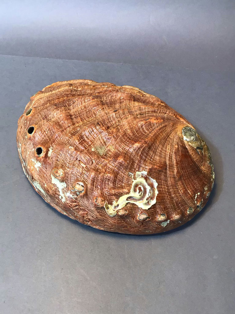 Pearl & Abalone Jewelry - image 12 of 14