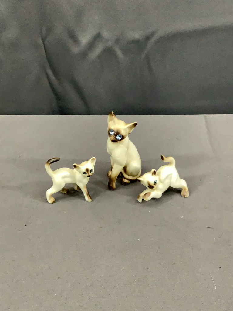 Cats! - image 15 of 19