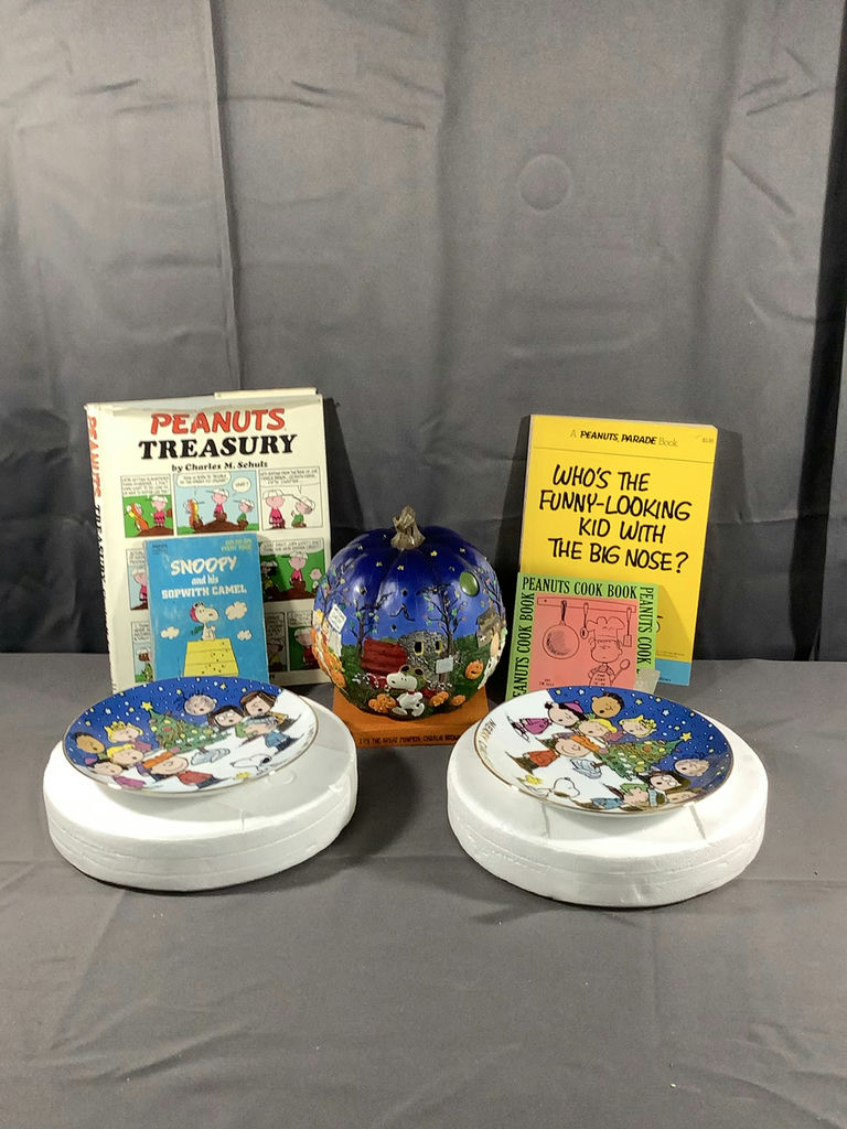 Peanuts Books and Collectibles - image 1 of 8