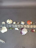 Pearl & Abalone Jewelry - thumbnail 13 of 14