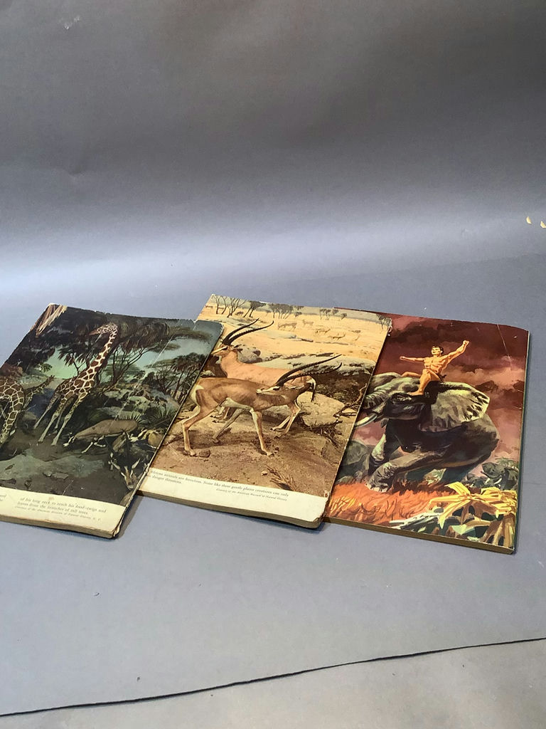 Vintage Classics Illustrated & Dell Comics - image 16 of 19