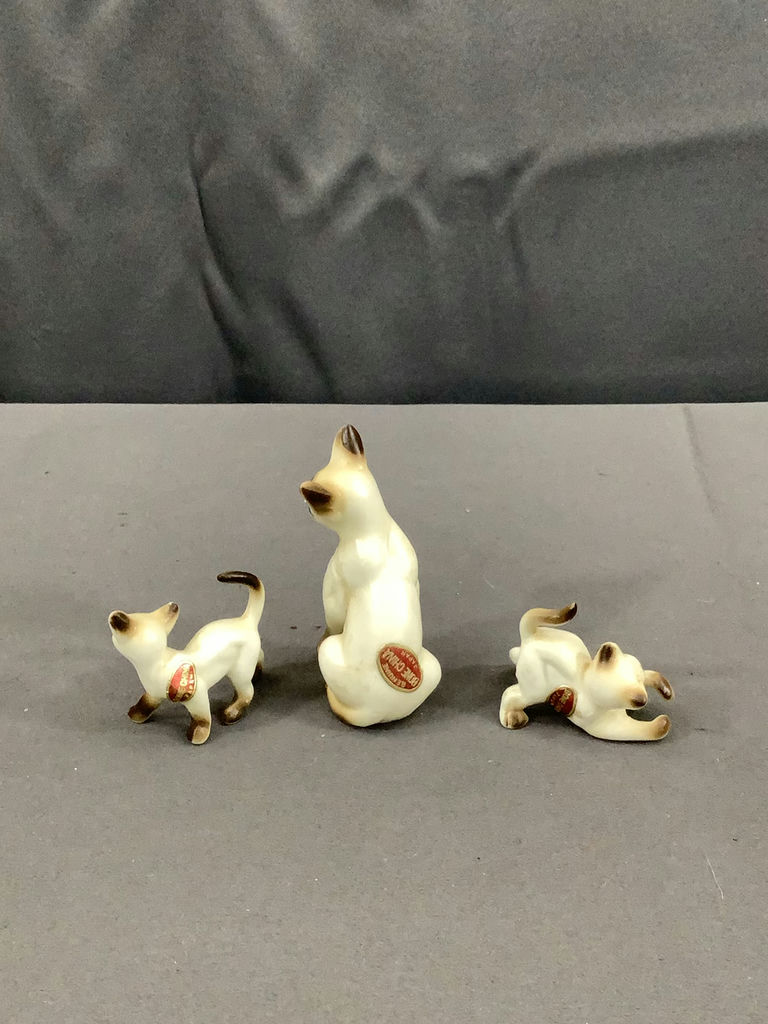 Cats! - image 17 of 19
