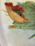 Vintage Framed Hand-Painted Plates - thumbnail 8 of 9