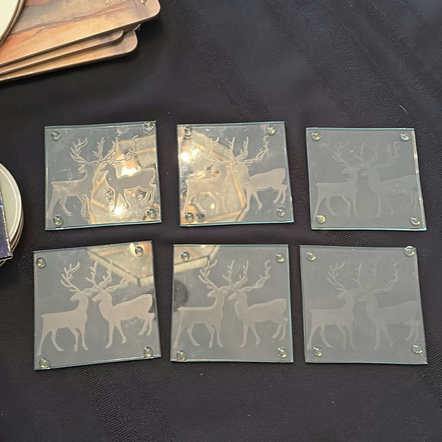 Assorted Placemats & Coasters - image 9 of 12