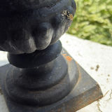Pair Of Cast Iron Urn Planters - thumbnail 8 of 8