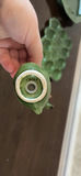 Ceramic Devilled Egg Dish & Serving Platter - thumbnail 6 of 13