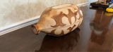Vintage Clay Baker - thumbnail 4 of 9