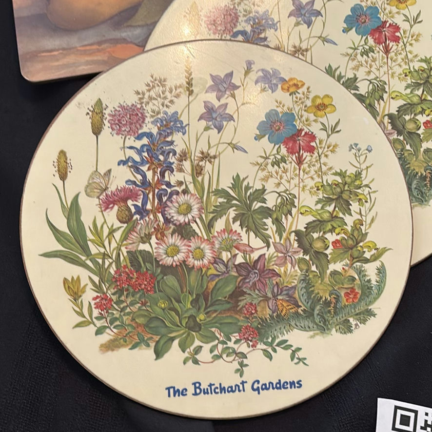 Assorted Placemats & Coasters - image 2 of 12
