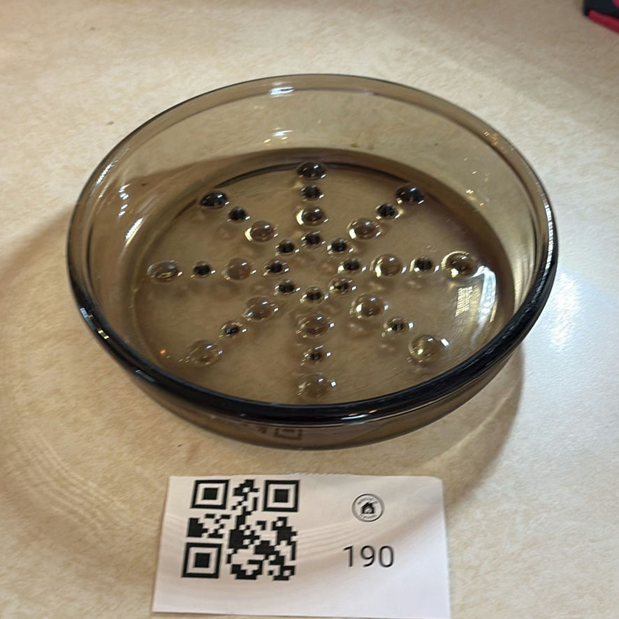 Corning Glass Plant Saucer - image 1 of 7