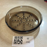 Corning Glass Plant Saucer - thumbnail 1 of 7