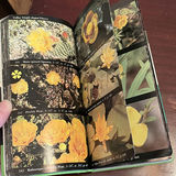 Collection Of Local Books - thumbnail 3 of 12