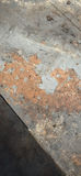 Yard Commander Dump Cart - thumbnail 14 of 15