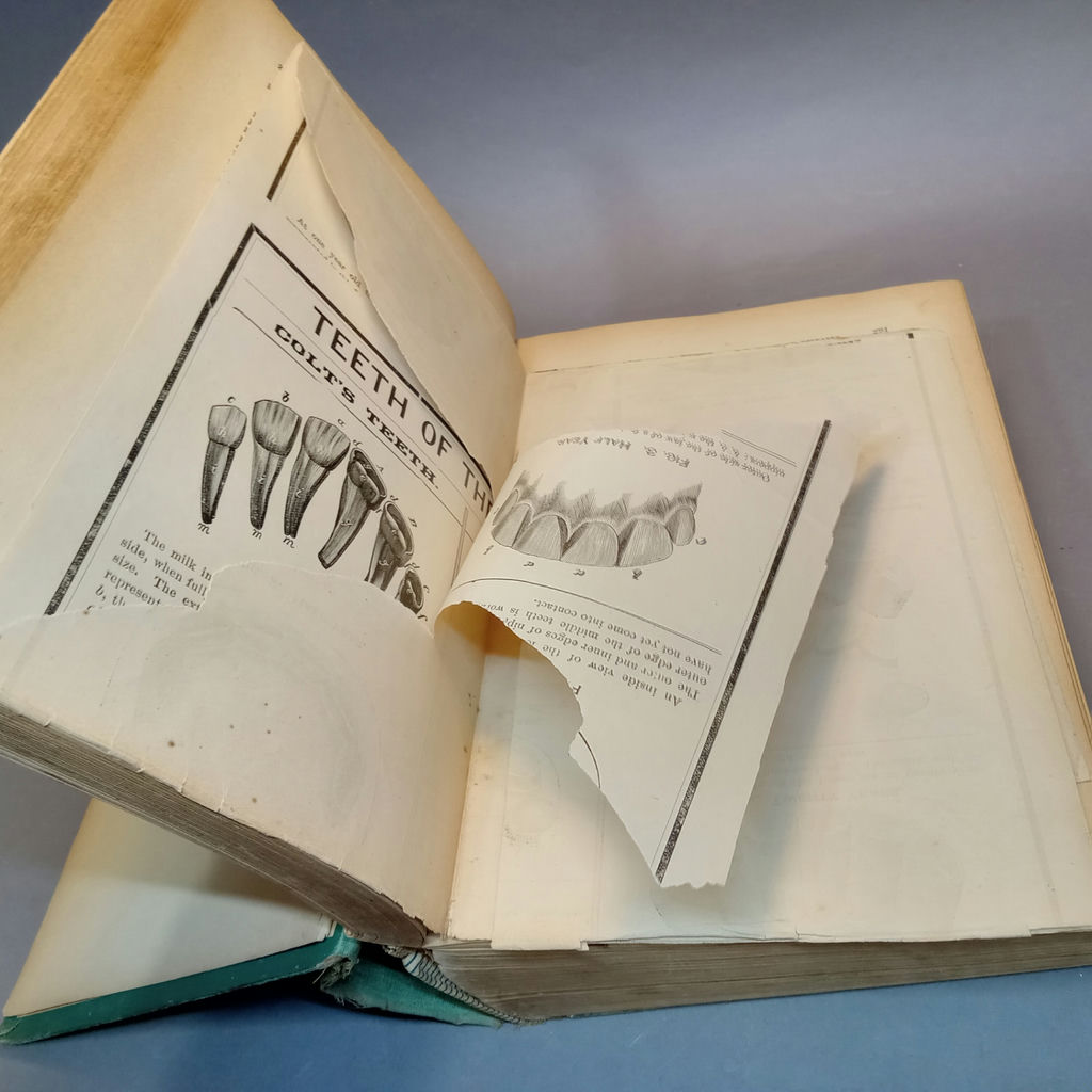 Antique Physician Books - image 6 of 24