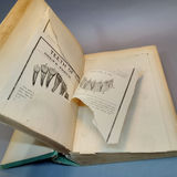Antique Physician Books - thumbnail 6 of 24