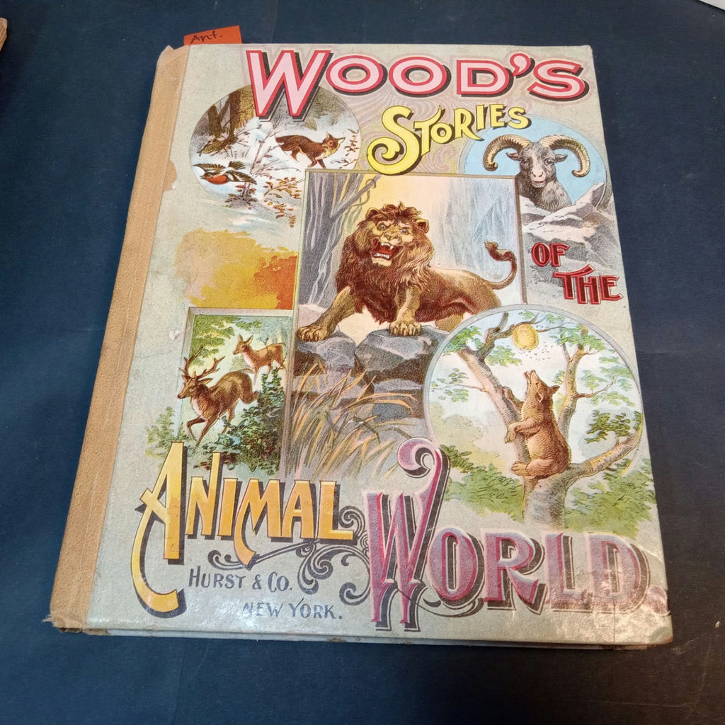 Antique Children's Books - 1843 - 1915 - image 7 of 26