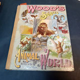 Antique Children's Books - 1843 - 1915 - thumbnail 7 of 26