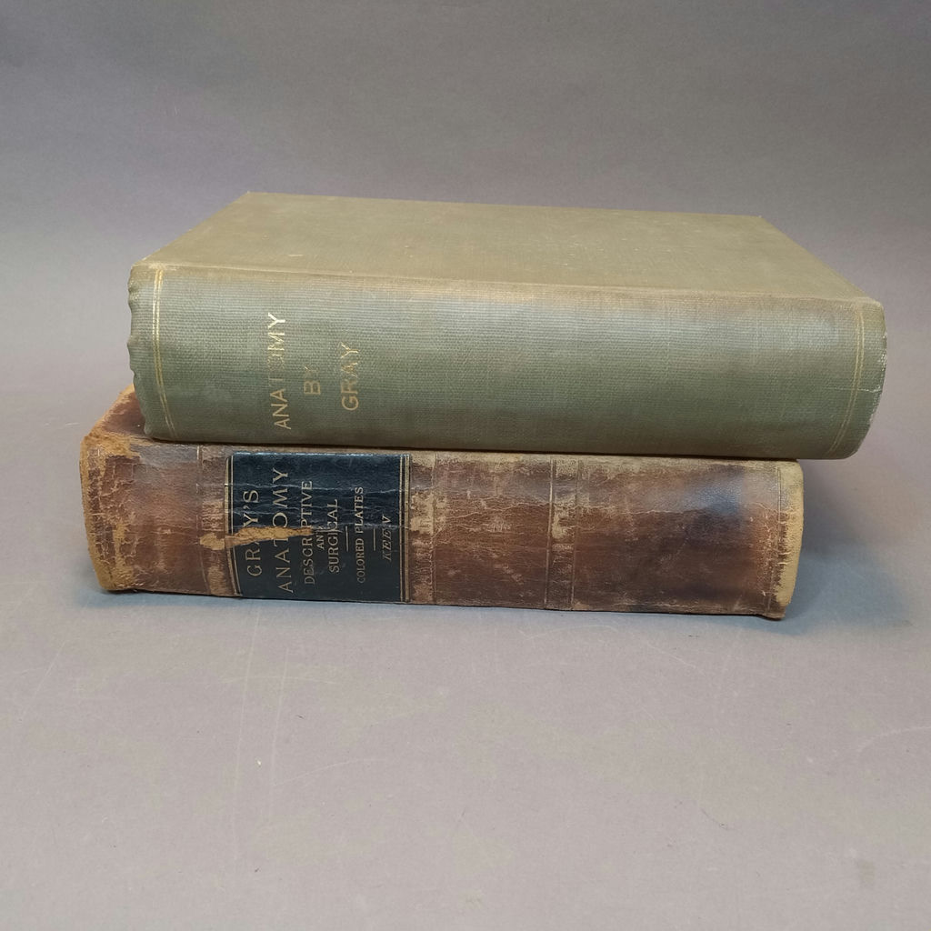 Antique Gray's Anatomy Books - image 1 of 16