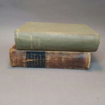 Antique Gray's Anatomy Books - Image 1 of 16