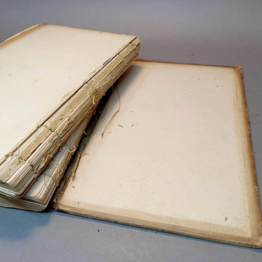 Antique Gray's Anatomy Books - image 7 of 16
