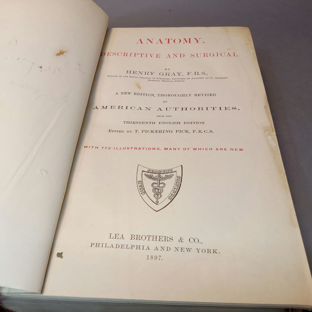 Antique Gray's Anatomy Books - image 12 of 16