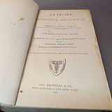 Antique Gray's Anatomy Books - thumbnail 12 of 16