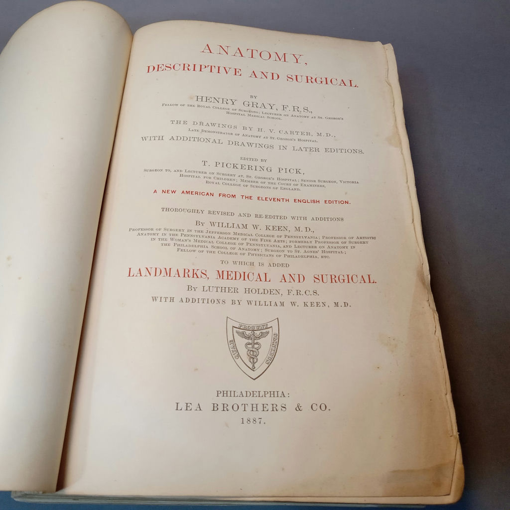 Antique Gray's Anatomy Books - image 4 of 16