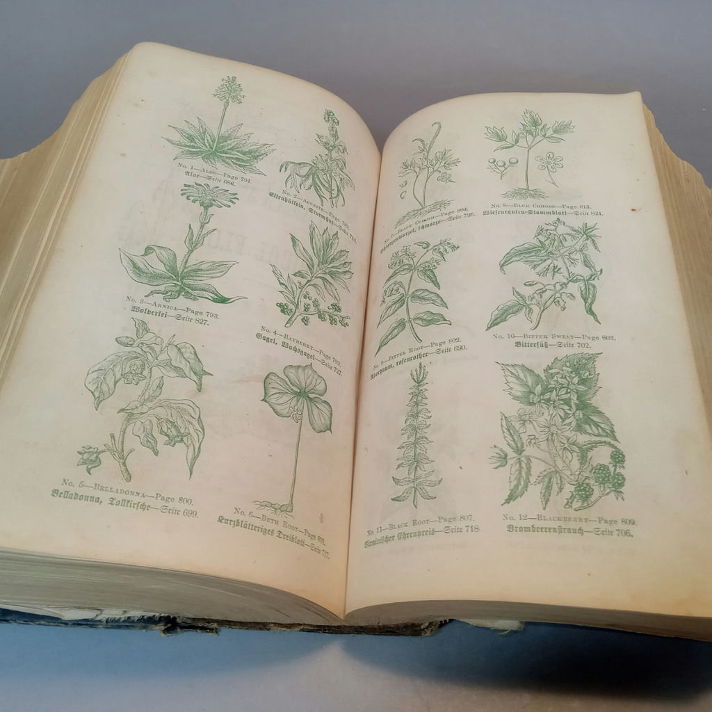 Antique Physician Books - image 24 of 24