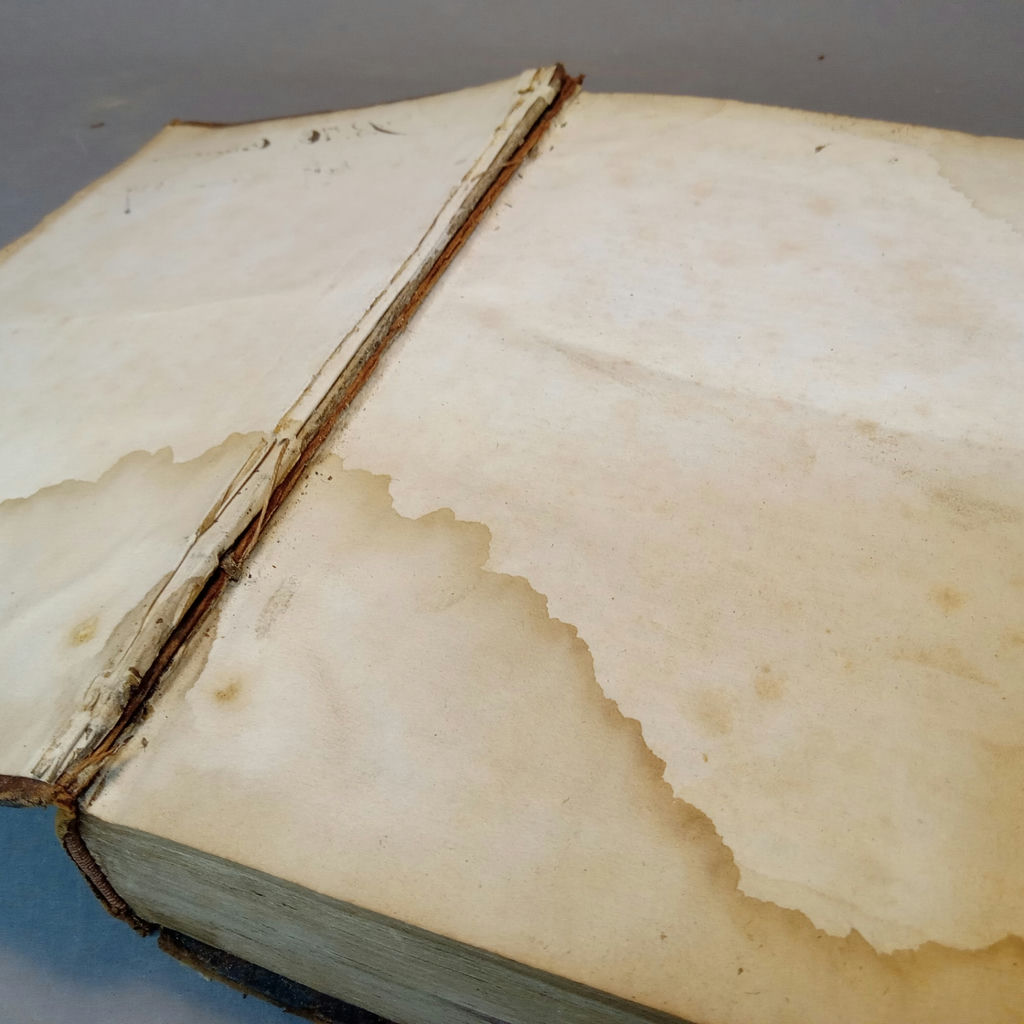 Antique Medical Books - image 24 of 29