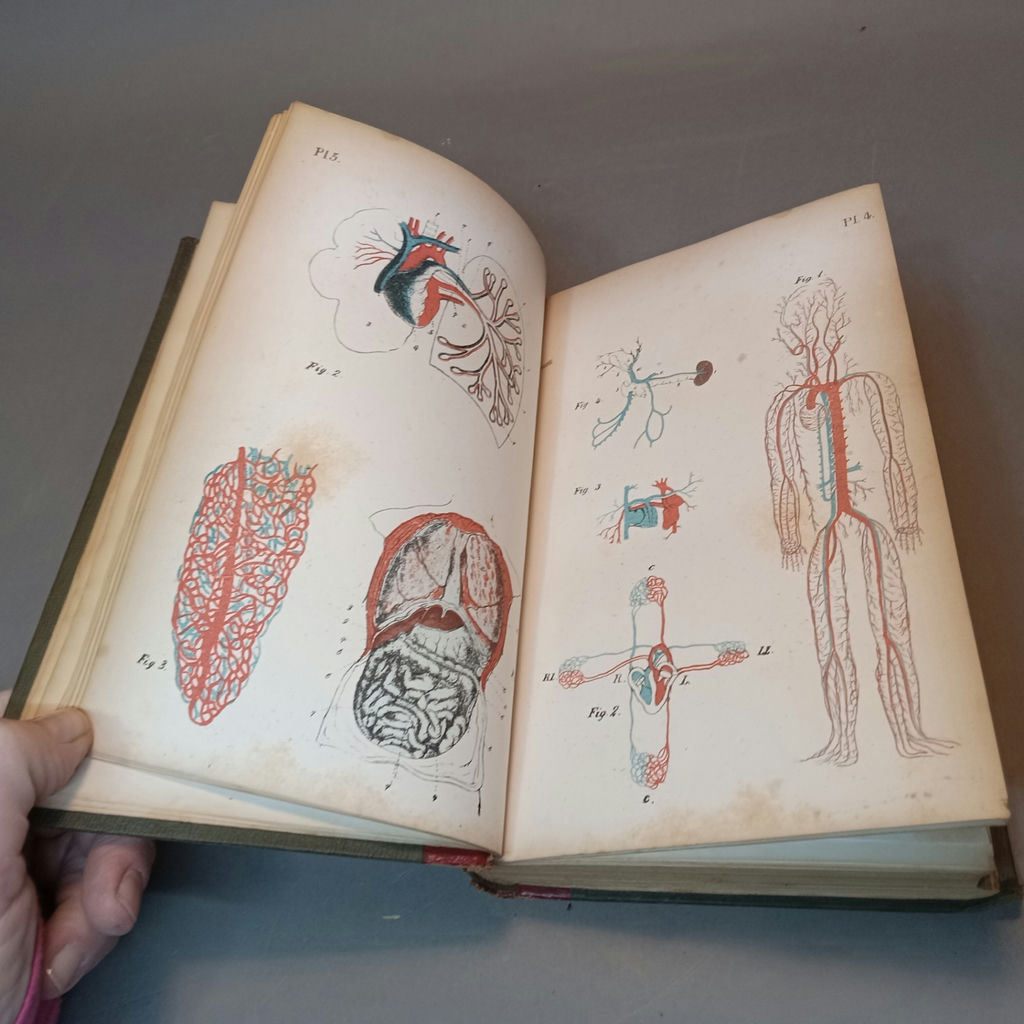 Antique Medical Books - image 19 of 29