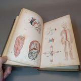Antique Medical Books - thumbnail 19 of 29