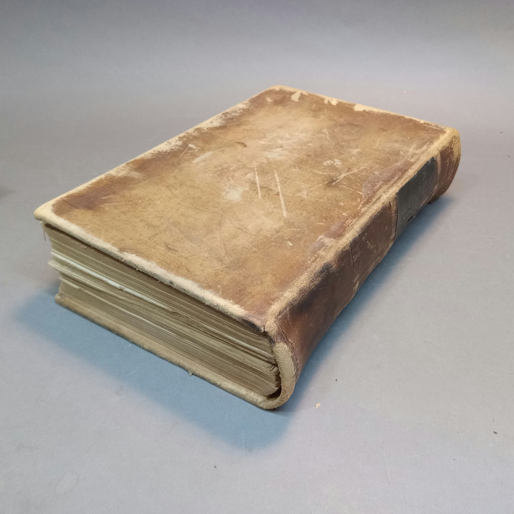 Antique Gray's Anatomy Books - image 8 of 16