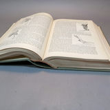 Antique Gray's Anatomy Books - thumbnail 13 of 16