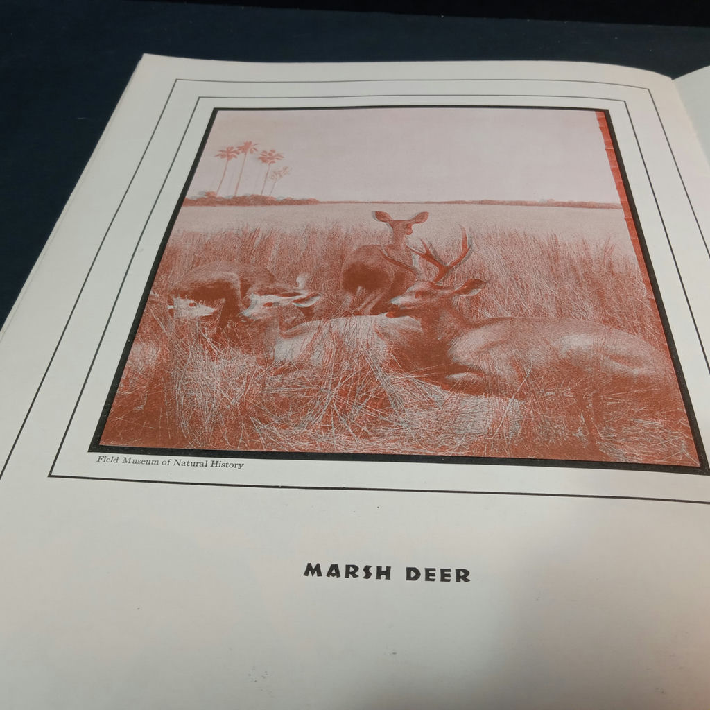 Vintage Tony Sarg's Treasure Book & More - image 14 of 17