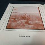 Vintage Tony Sarg's Treasure Book & More - thumbnail 14 of 17