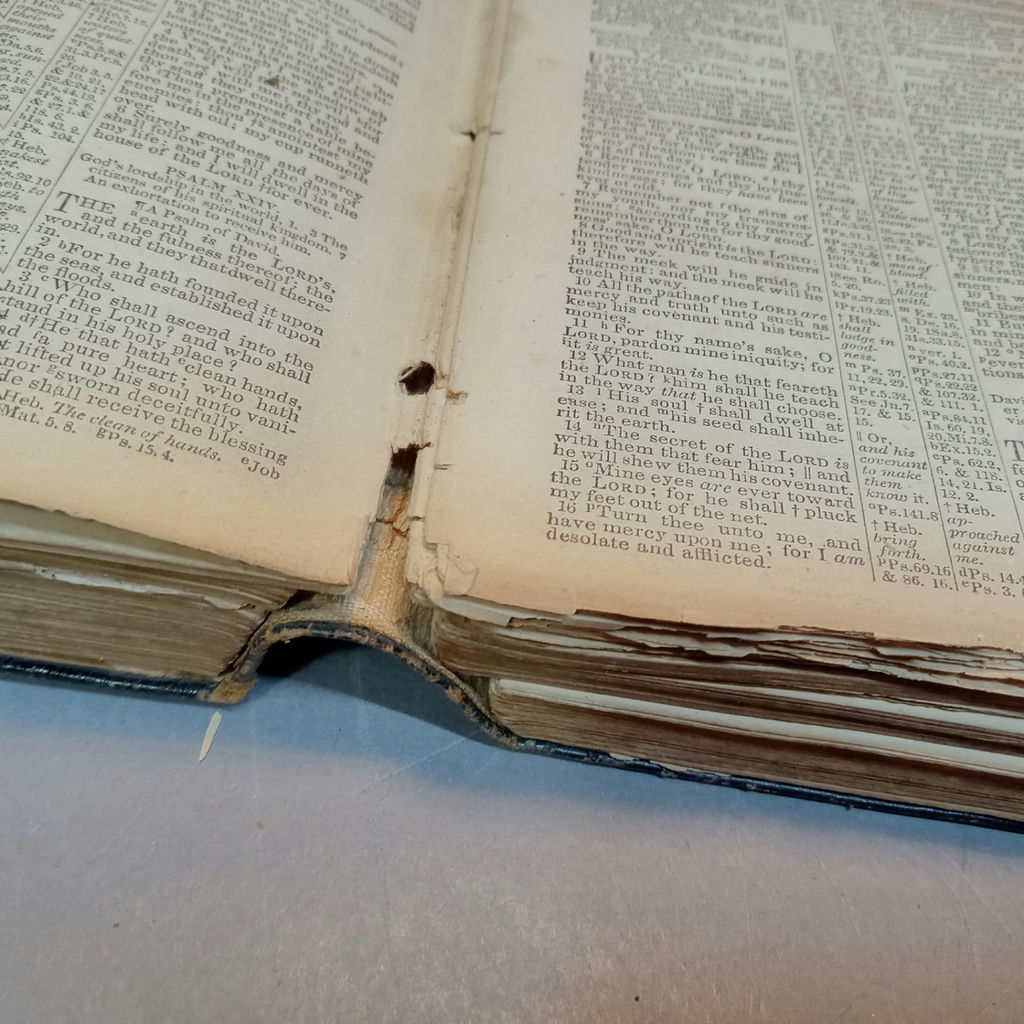 Antique Bibles - image 23 of 35