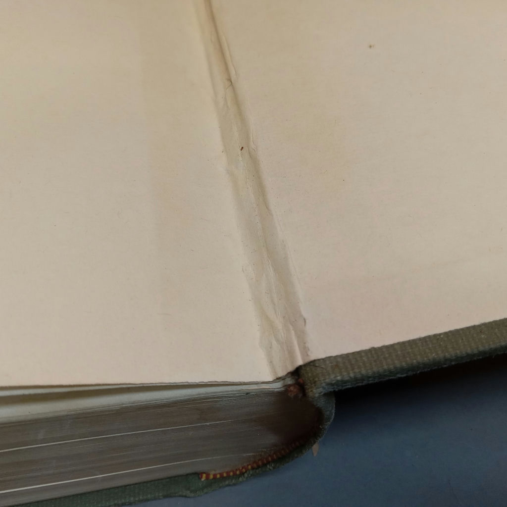 Antique Gray's Anatomy Books - image 15 of 16