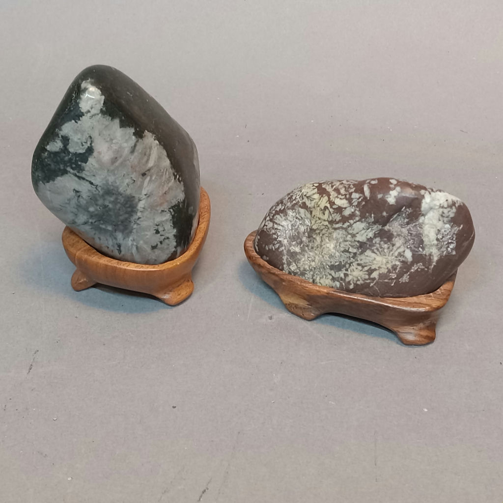 It Came From the Earth - image 8 of 28