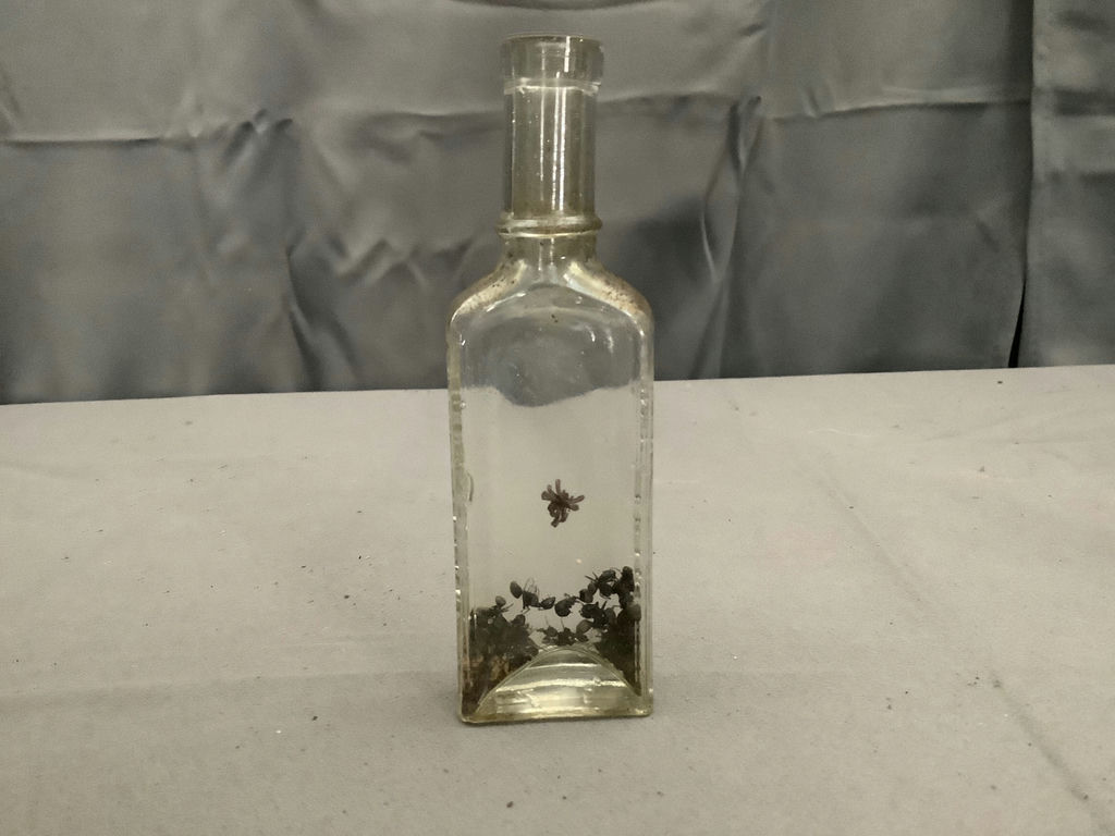 Antique Clear Glass Bottles - image 9 of 13