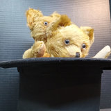 Vintage Mohair Teddy Bears & Top Hat - thumbnail 1 of 20