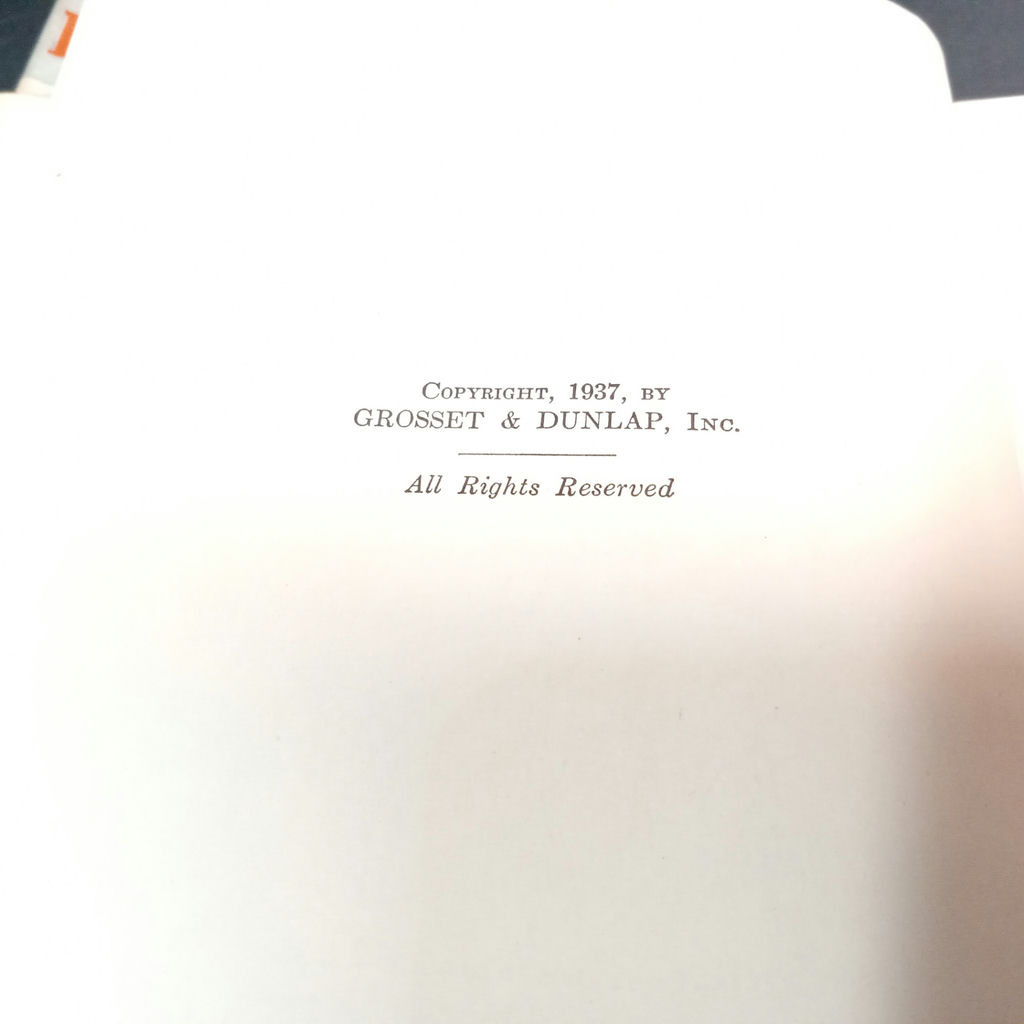 Vintage Young Adult Books - image 3 of 8