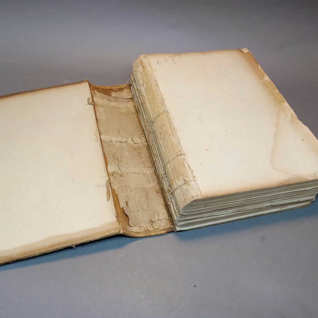 Antique Gray's Anatomy Books - image 3 of 16
