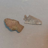 It Came From the Earth - thumbnail 20 of 28