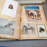 Gene Autry Autograph & Horse Ephemera - thumbnail 13 of 22