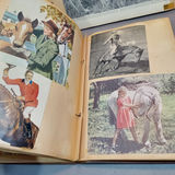 Gene Autry Autograph & Horse Ephemera - thumbnail 14 of 22