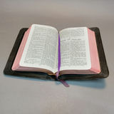 Antique Bibles - thumbnail 8 of 35