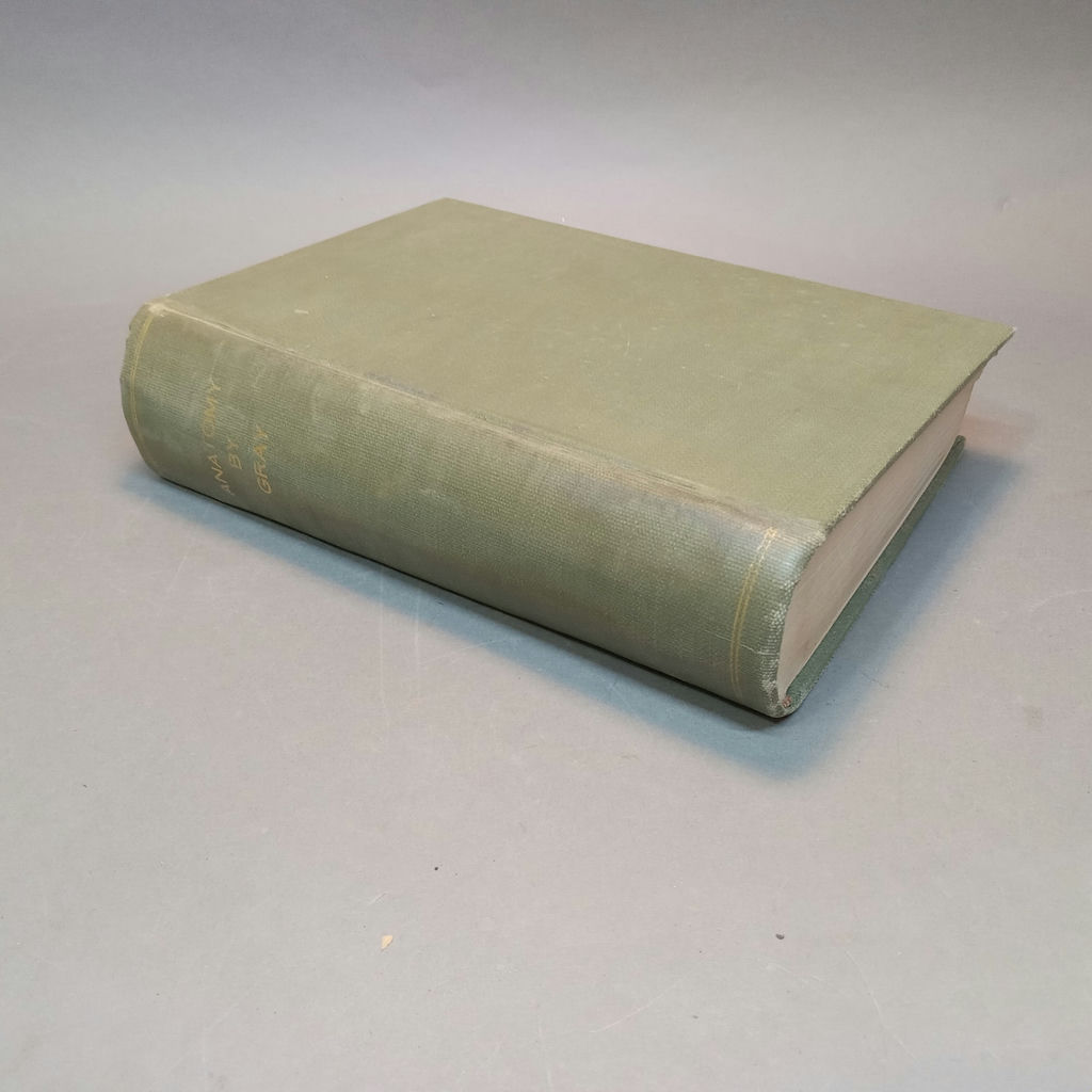 Antique Gray's Anatomy Books - image 9 of 16