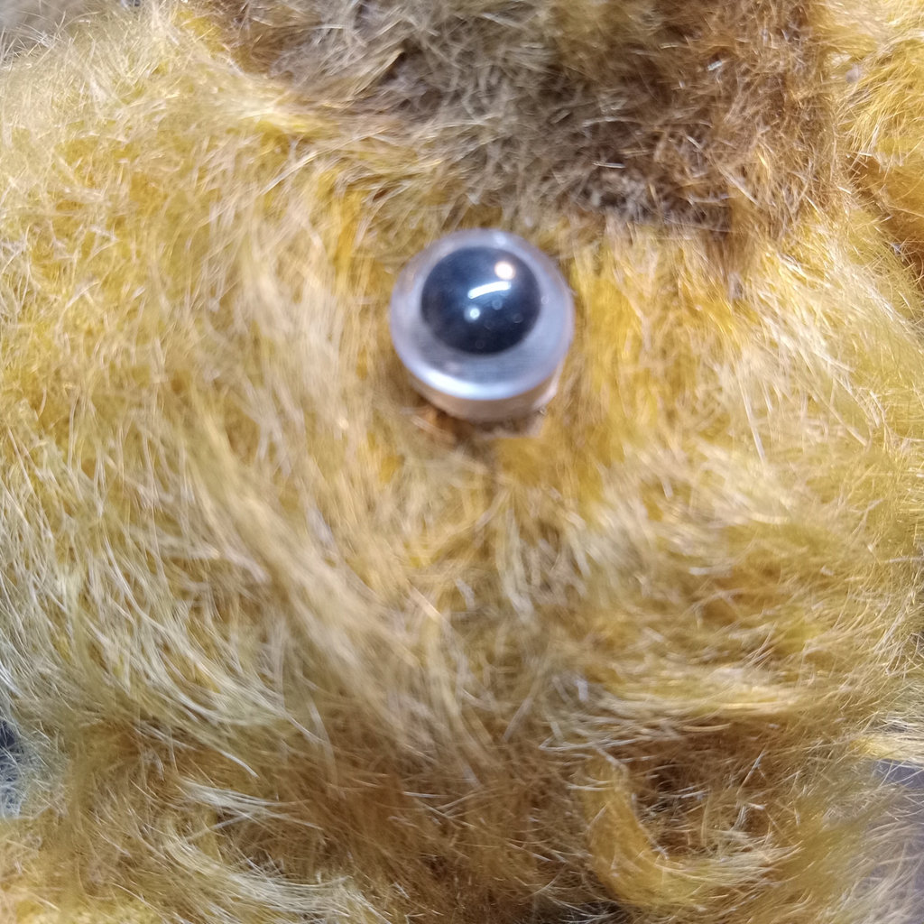 Vintage Mohair Teddy Bears & Top Hat - image 14 of 20