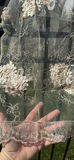 (20+) Set of Embroidered Sheer Fabric Panels with Floral Appliques - thumbnail 2 of 7