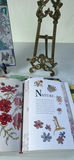 Cross Stitch Books, Magazines, Embroidery Floss, and Pattern Charts - thumbnail 4 of 7